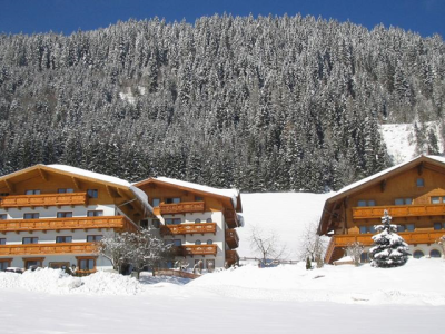 37781771-Original