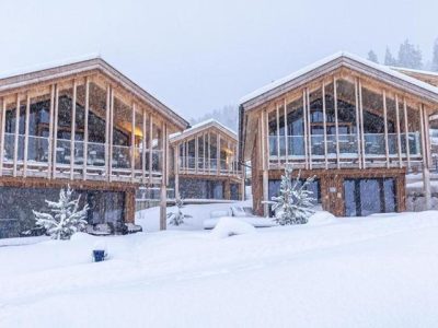 50473343-Original